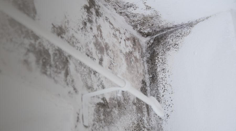 Why choose Coast 2 Coast Restoration for water damage restoration in Indianapolis